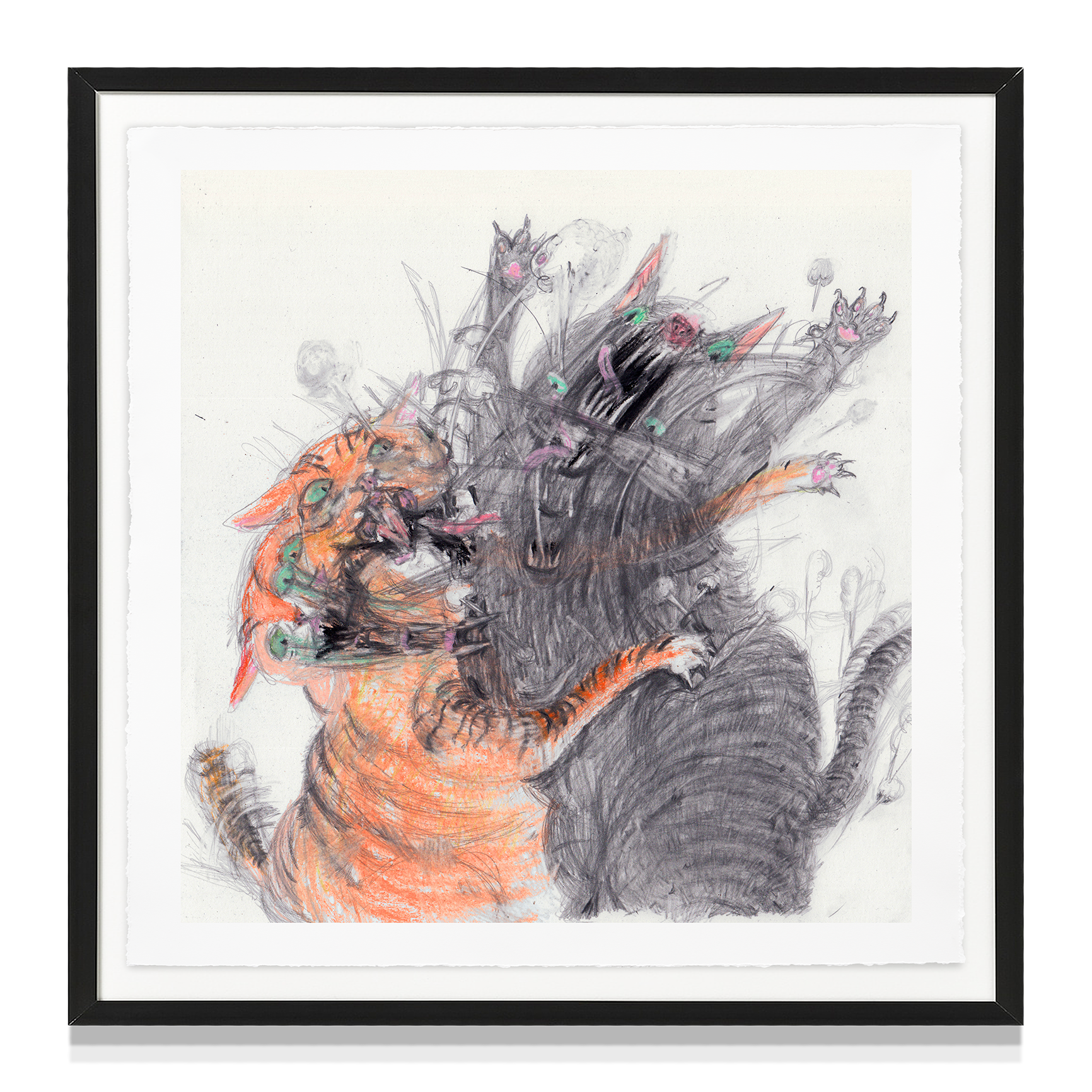 'Cats Fight 4'