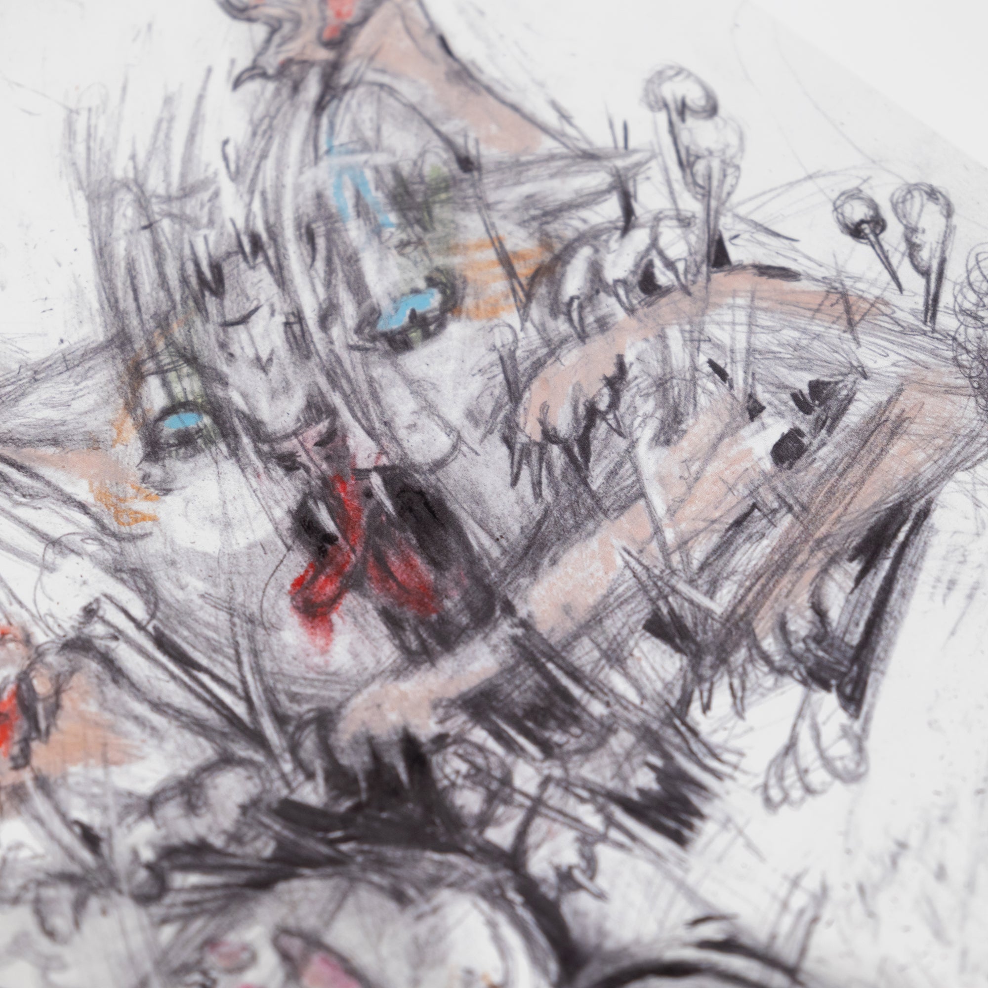 'Cats Fight 1'