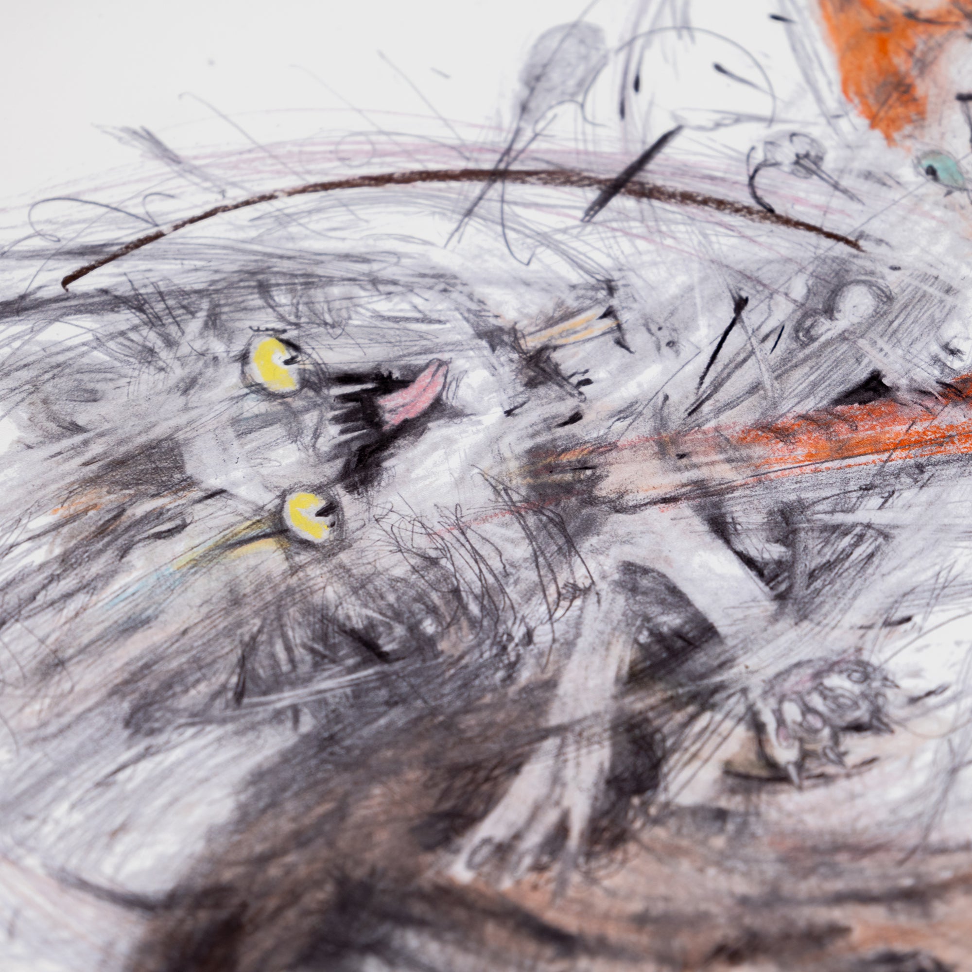 'Cats Fight 3'