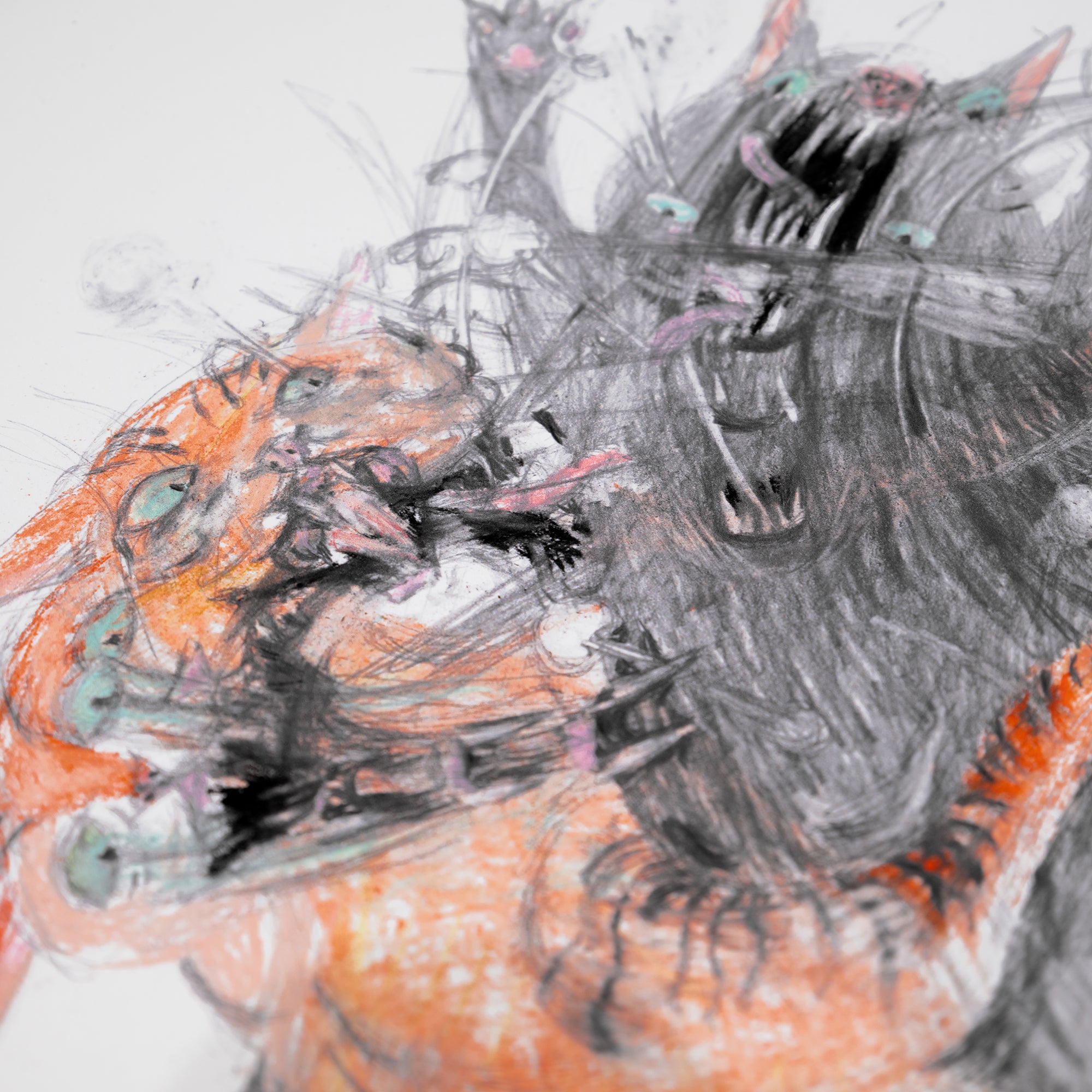 'Cats Fight 4'