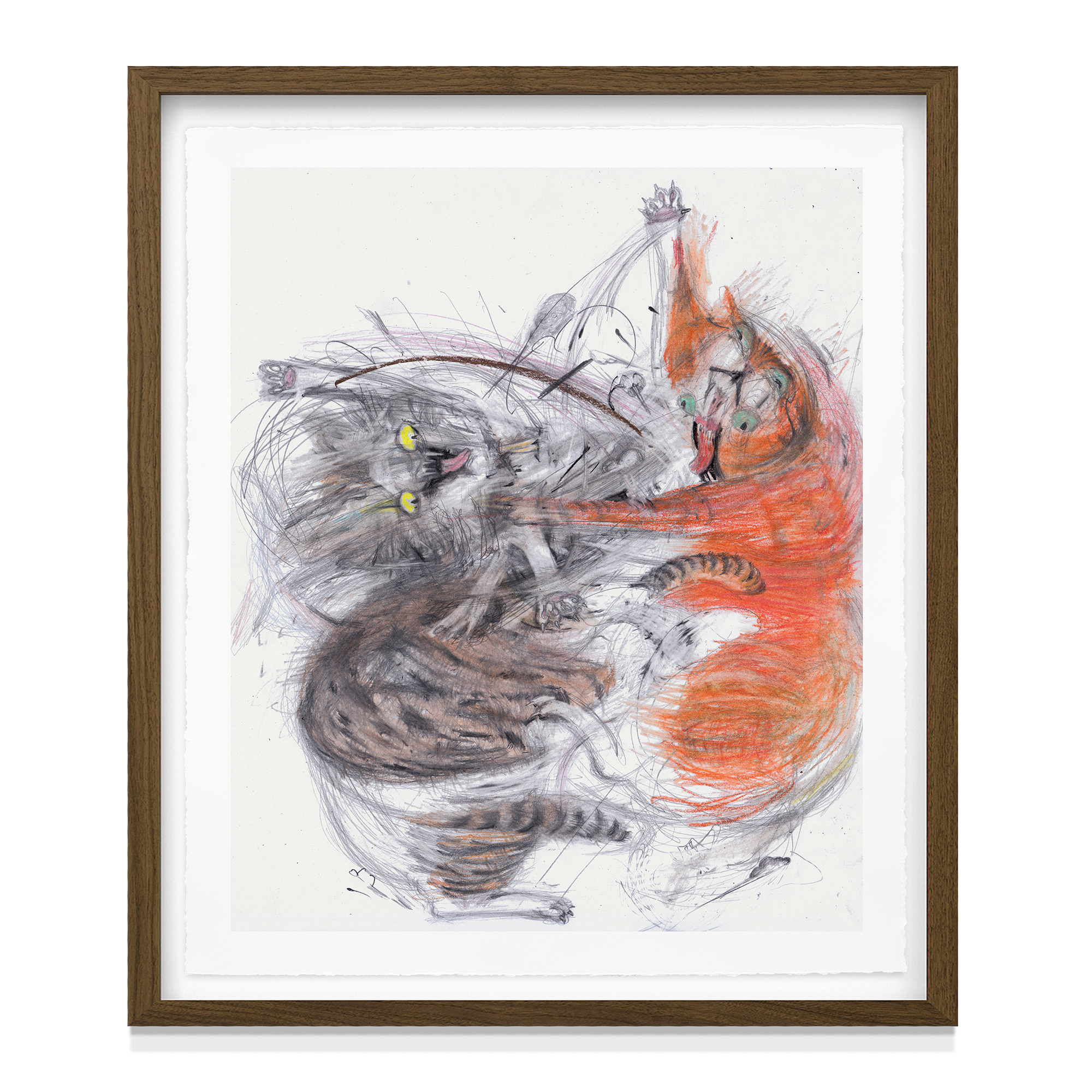 'Cats Fight 3'