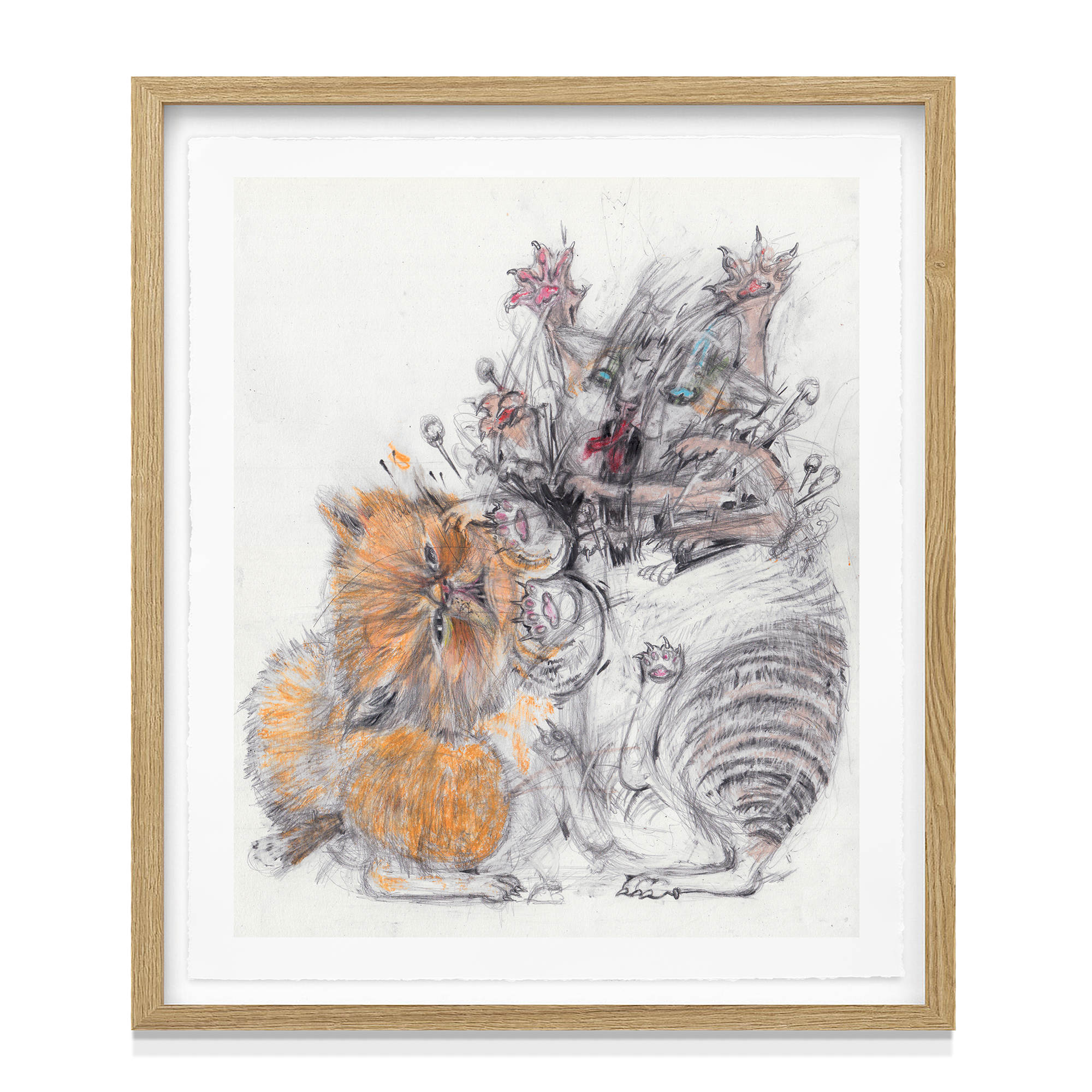 'Cats Fight 1'