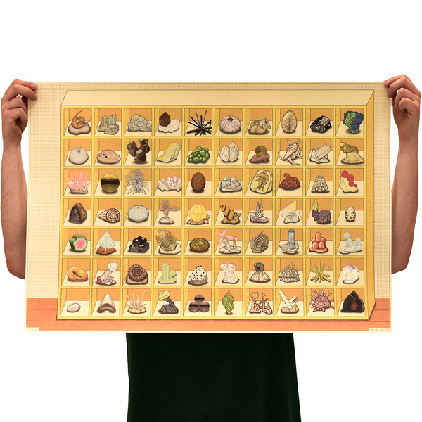 '70 Objects of Nature All Up in my Cubby'