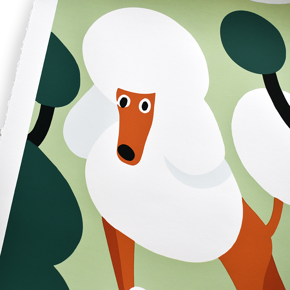 'Fluffy Poodle'