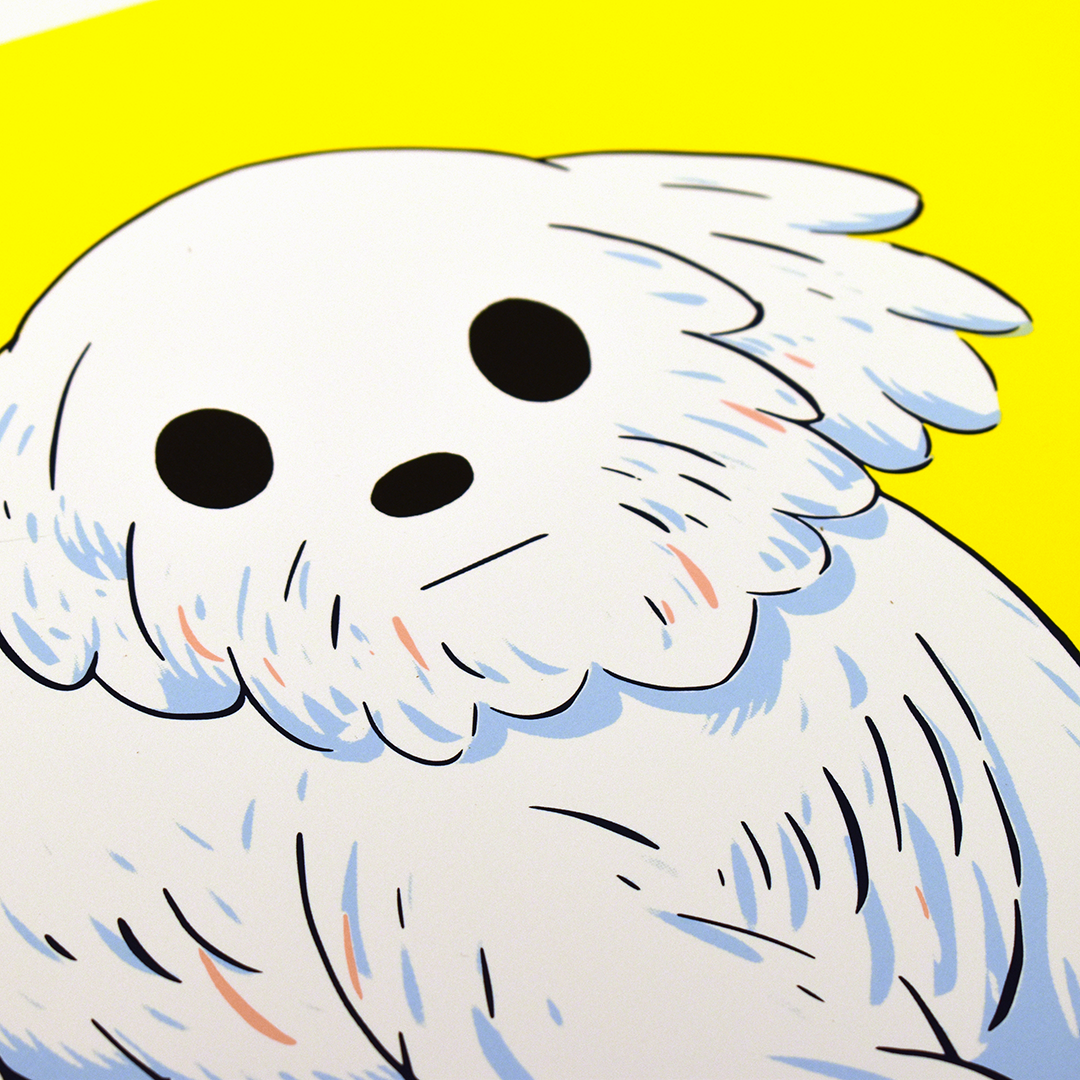 'The Dog'