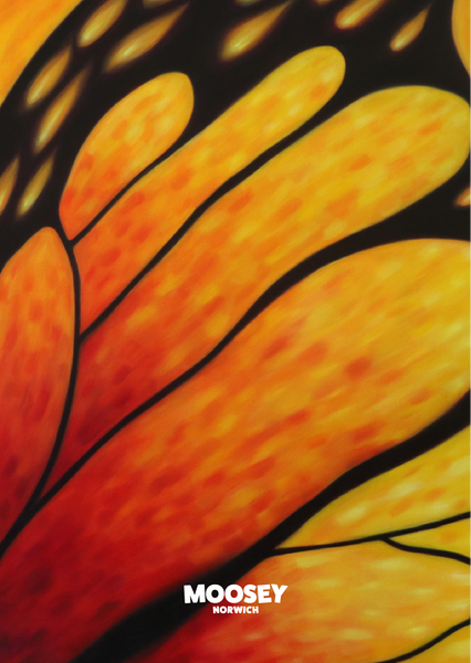 'Aperture' by Amber Larks
