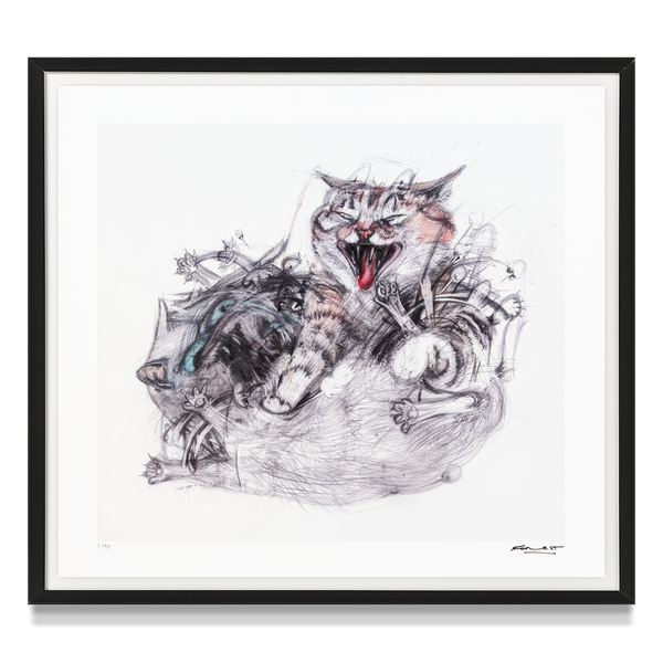 'Cats Fight 13'