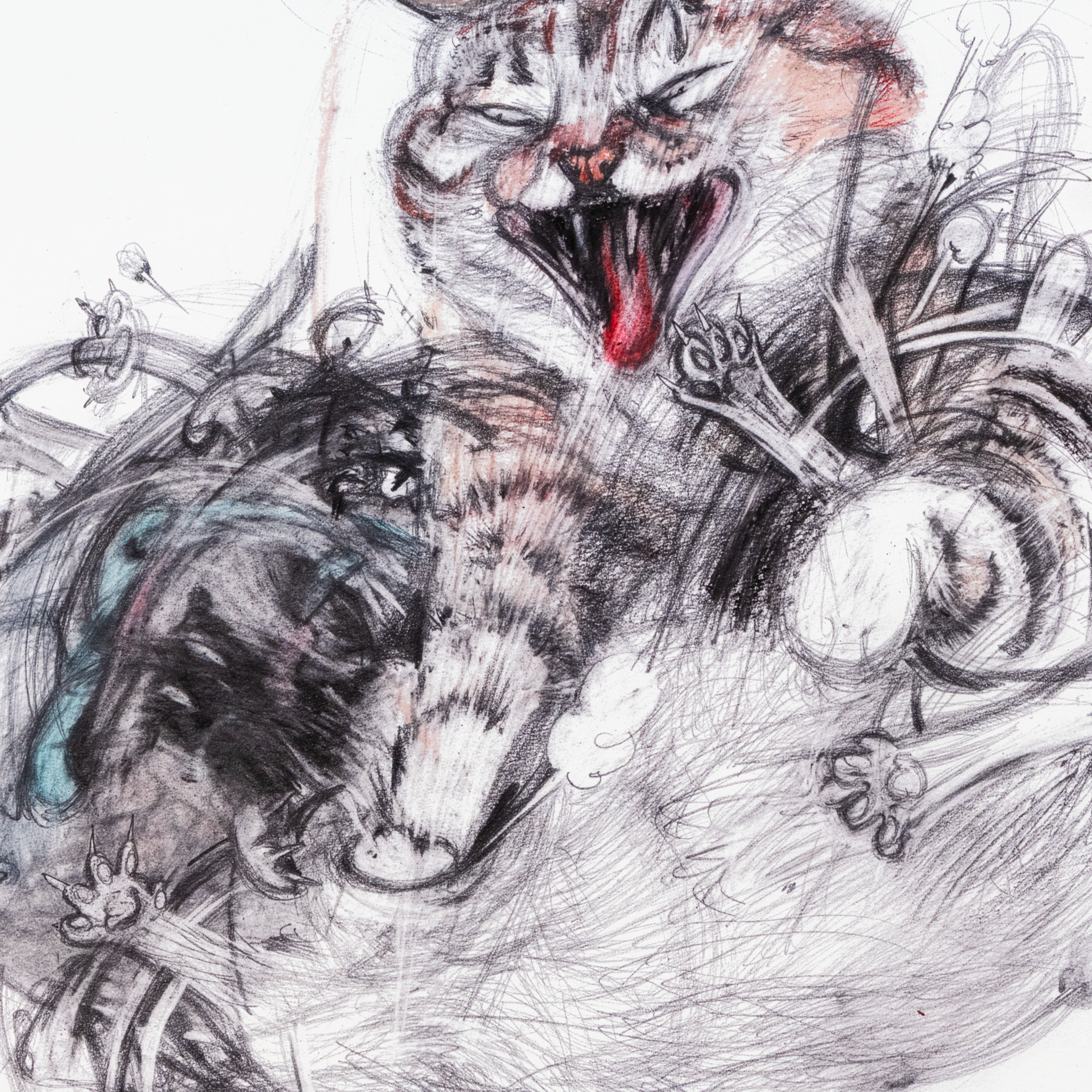 'Cats Fight 13'