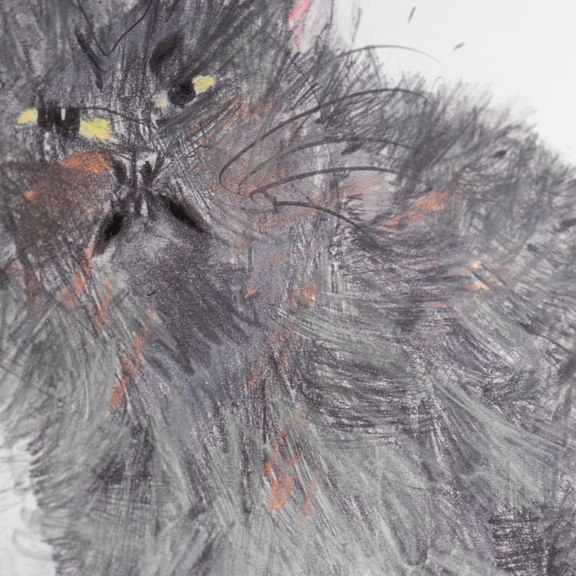 'Cat 2'
