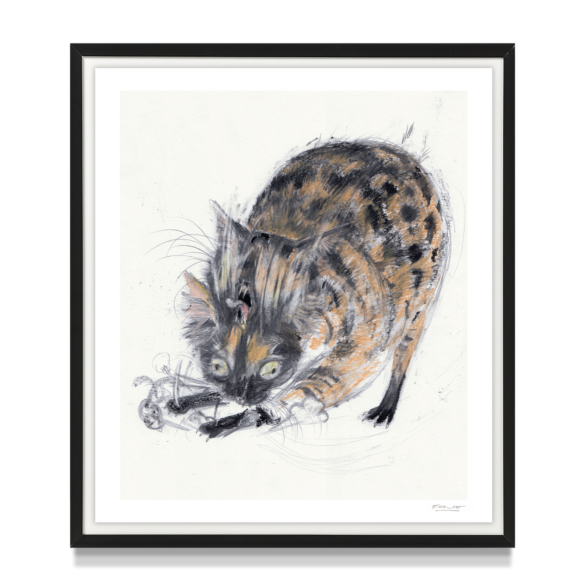 'Cats Fight 14'
