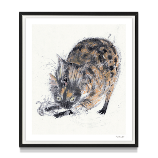 'Cats Fight 14'