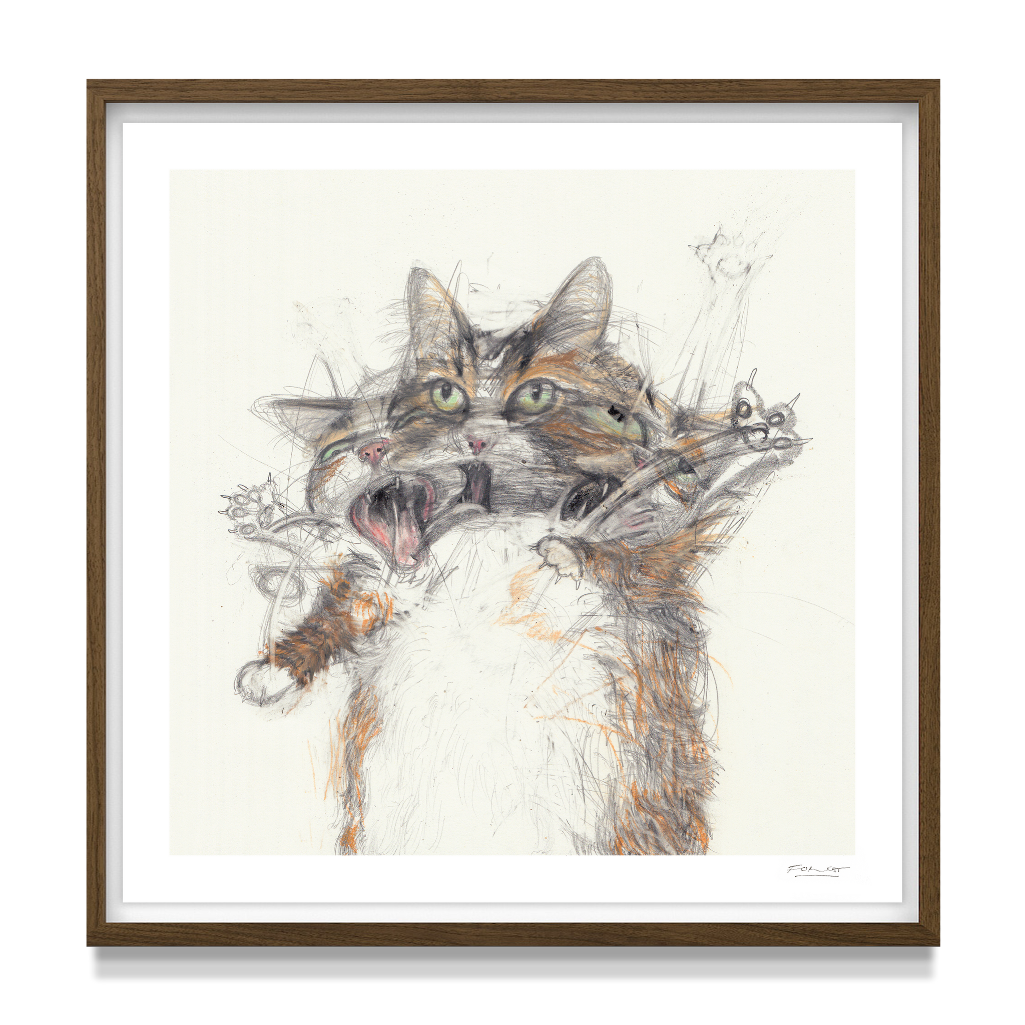 'Cats Fight 17'